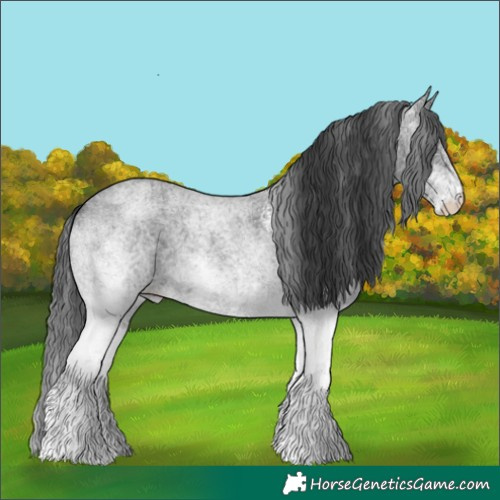 Horse Color:White Spotted Blue Roan 