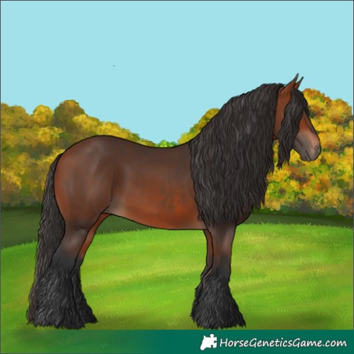 Horse Color:Brown Rabicano and Bay Rabicano