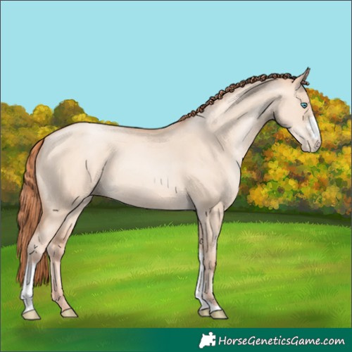 Horse Color:Sable Champagne Pearl Dun Sabino Tobiano 