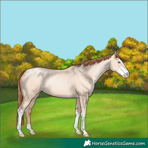 Horse Color:Sable Champagne Pearl Dun Sabino Tobiano 