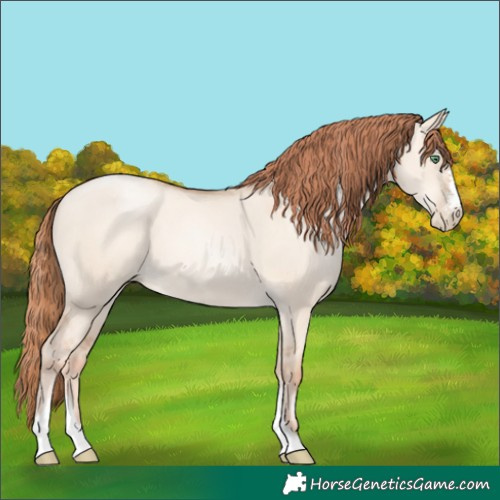 Horse Color:Classic Champagne Pearl Dun Sabino Tobiano 