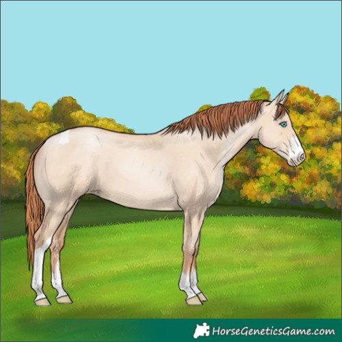 Horse Color:Sable Champagne Pearl Dun Sabino Tobiano
