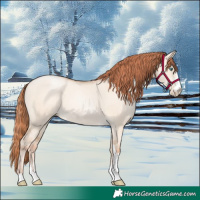 Horse Color:Classic Champagne Pearl Dun Sabino Tobiano