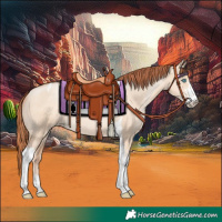 Horse Color:Sable Champagne Pearl Dun Sabino Tobiano