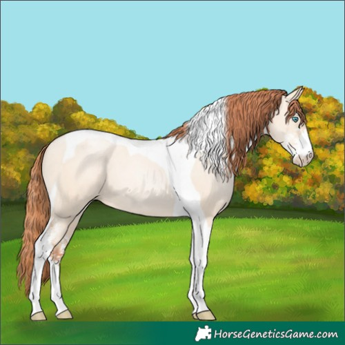 Horse Color:Sable Champagne Pearl Dun Sabino Tobiano 