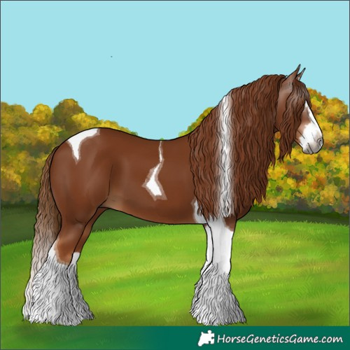 Horse Color:Gray Chestnut Splash Tobiano