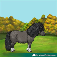 Horse Color:Grullo Tobiano 