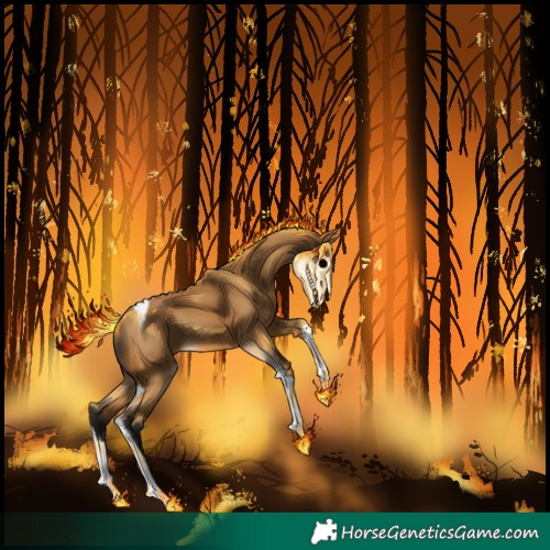 Horse Color:Gray Buckskin Splash Tobiano