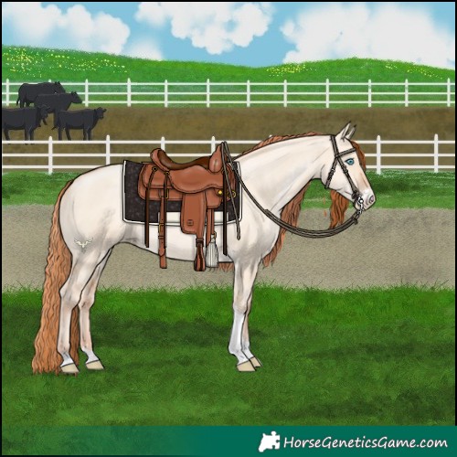 Horse Color:Sable Champagne Pearl Dun Sabino Tobiano