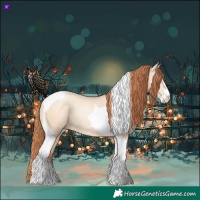 Horse Color:Sable Champagne Pearl Dun Sabino Tobiano 