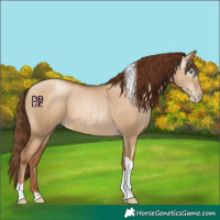 Horse Color:Gray Sable Champagne Pearl Dun Sabino Tobiano 