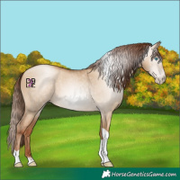 Horse Color:Gray Sable Champagne Pearl Dun Sabino Tobiano
