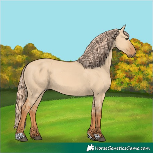 Horse Color:Red Dun 