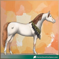 Horse Color:Sable Champagne Pearl Dun Sabino Tobiano 