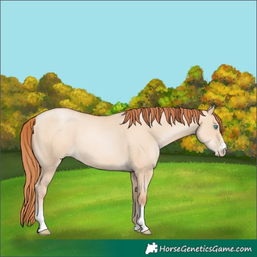Horse Color:Sable Champagne Pearl Dun Sabino Tobiano 