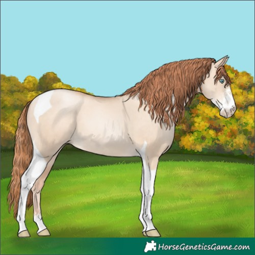 Horse Color:Sable Champagne Pearl Dun Sabino Tobiano 