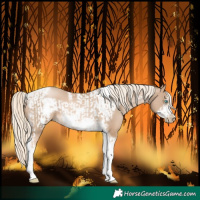 Horse Color:Chocolate Palomino Pearl Tobiano Frame and Chocolate Palomino Pearl Tobiano Frame