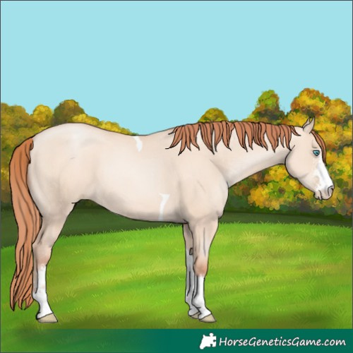 Horse Color:Sable Champagne Pearl Dun Sabino Tobiano