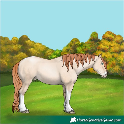 Horse Color:Sable Champagne Pearl Dun Sabino Tobiano