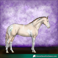 Horse Color:Sable Champagne Pearl Dun Sabino Tobiano 