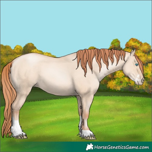 Horse Color:Sable Champagne Pearl Dun Sabino Tobiano 