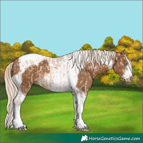 Horse Color:Chocolate Palomino Pearl Tobiano Frame  and Chocolate Palomino Tobiano Frame 