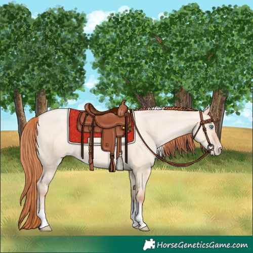 Horse Color:Sable Champagne Pearl Dun Sabino Tobiano