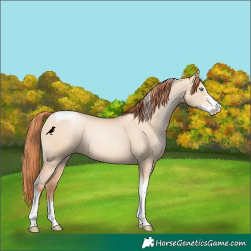 Horse Color:Classic Champagne Pearl Dun Sabino Tobiano 