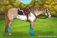 Horse Color:Red Dun Splash Frame