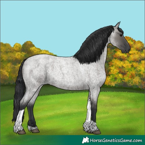 Horse Color:Grullo Roan Tobiano 