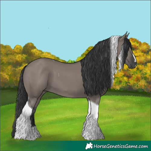 Horse Color:Grullo Tobiano 