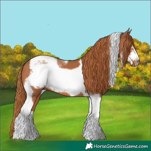 Horse Color:Chestnut Tobiano Frame 