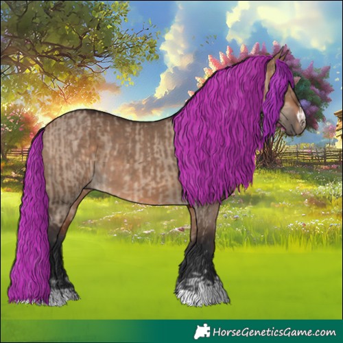 Horse Color:Bay Dun  and Bay Dun 