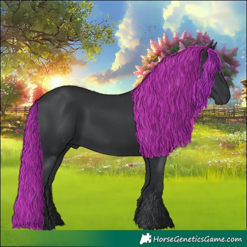 Horse Color:Black 