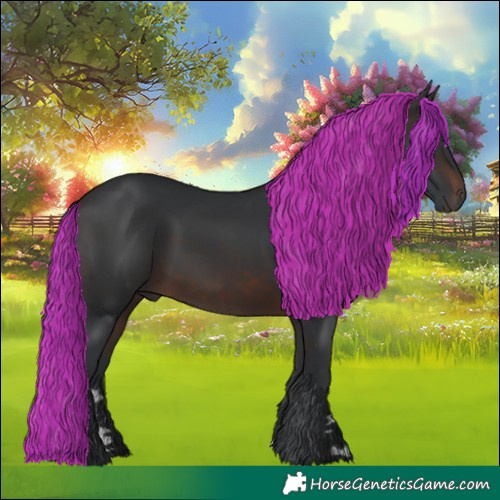 Horse Color:Brown 