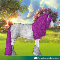 Horse Color:White Spotted Blue Roan