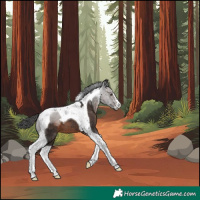 Horse Color:Brown Tobiano
