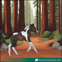 Horse Color:Brown Tobiano Rabicano 
