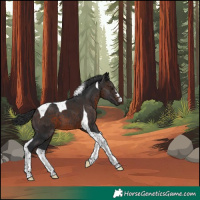 Horse Color:Brown Tobiano