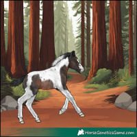 Horse Color:Brown Tobiano Rabicano 