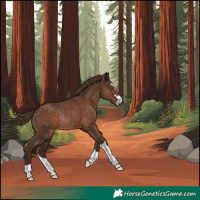Horse Color:Liver Chestnut Rabicano 