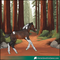 Horse Color:Brown Tobiano Rabicano