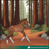 Horse Color:Chestnut Rabicano 