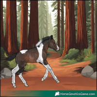 Horse Color:Brown Tobiano Rabicano 