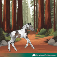 Horse Color:White Spotted Brown Tobiano Rabicano 