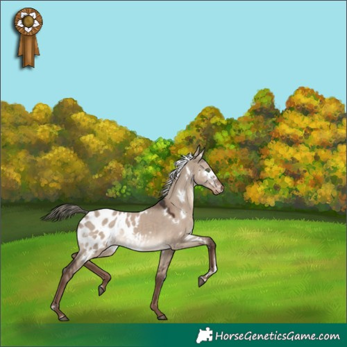Horse Color:White Spotted Liver Red Dun Mushroom Blanket Rabicano