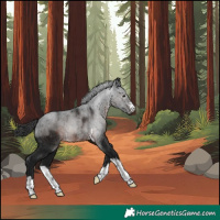 Horse Color:Gray Brown Rabicano