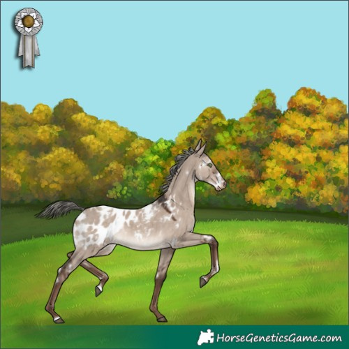 Horse Color:White Spotted Liver Red Dun Mushroom Blanket Rabicano