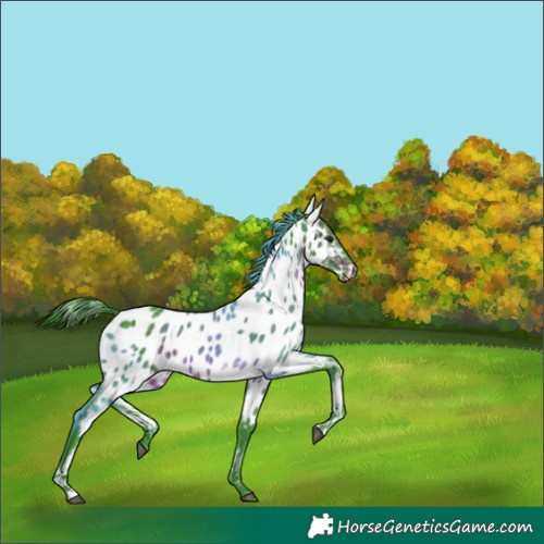Horse Color:Watercolor Brown Near Leopard