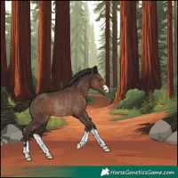 Horse Color:Liver Chestnut Rabicano